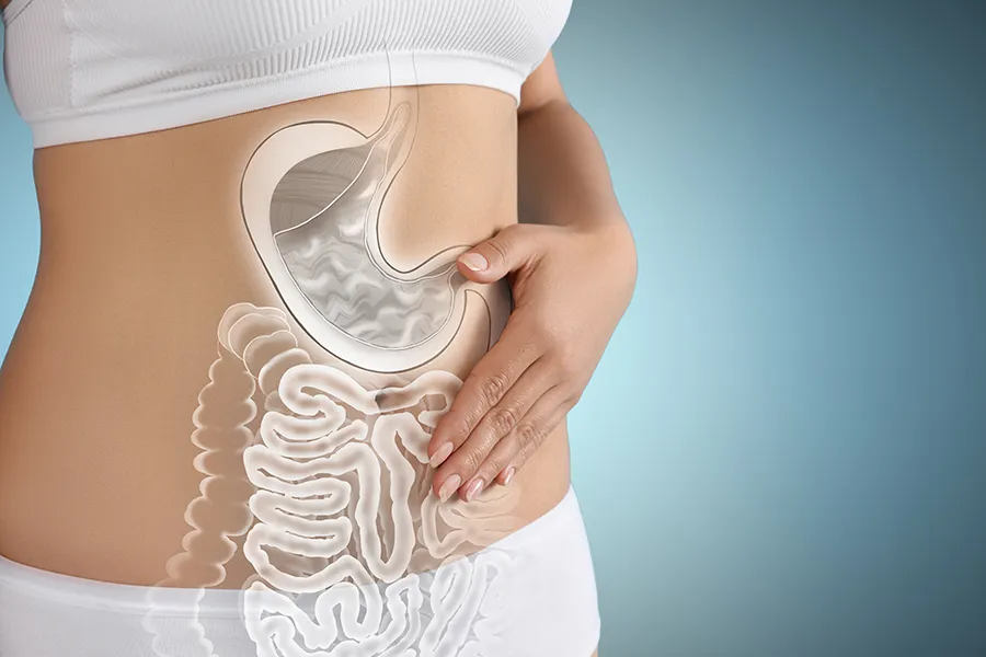 Gut-Health-Doctor Close up of the midriff of a woman with white underwear and an illustration of the digestive system superimposed over the image. Get help for digestive issues and gut health from Proactive Wellness Centers in Loudoun County.