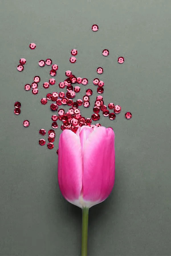 Menstrual-Dysfunction-Care A paper pink rose on a gray background, crumbling into small pieces, representing Menstrual Dysfunction care for women from Proactive Wellness Centers in Loudoun County.