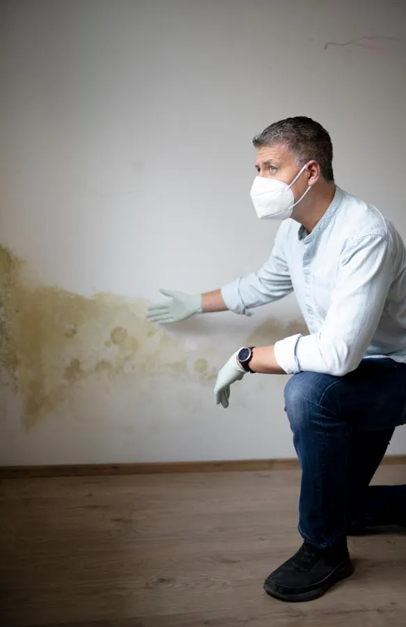 Mold-and-Mycotoxin-Treatment A building professional in a protective mask points out mold damage on a wall. Get treatment for mold and mycotoxin illness from Proactive Wellness Centers in Loudoun County.