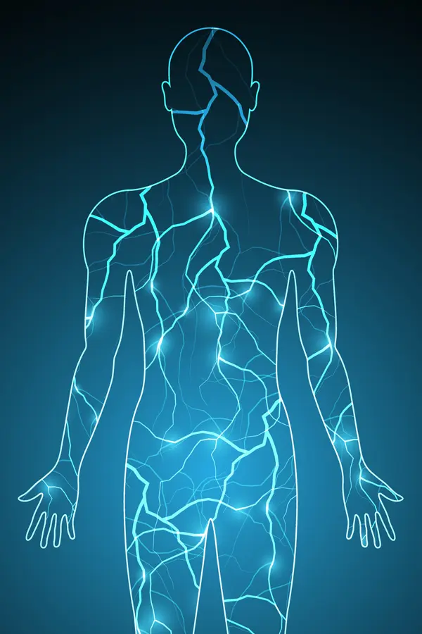 PEMF-Therapy-Treatment An illustration of a human body filled with electrical pulses. Schedule PEMF Pulsed Electromagnetic Field therapy from Proactive Wellness Centers in Loudoun County.