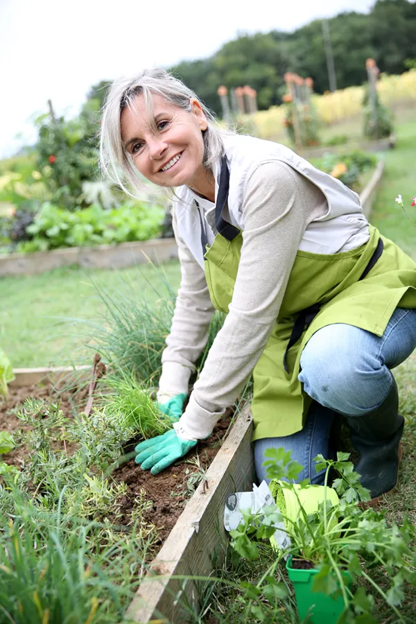 Rheumatoid-Arthritis-Treatment A mature woman bending down working on her garden happily after successful rheumatoid arthritis treatment from Proactive Wellness Centers in Loudoun County.